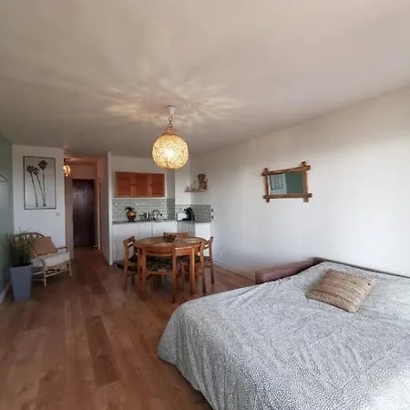 Appartement Les Palmiers Spacieux Vue Terrasse&parking *