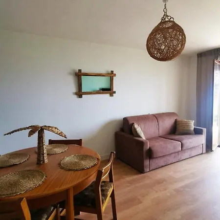 Appartement Les Palmiers Spacieux Vue Terrasse&parking *