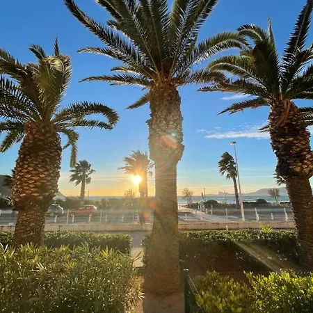 Les Palmiers Spacieux Vue Terrasse&parking Saint-Cyr-sur-Mer