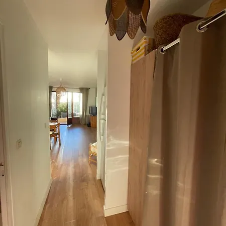 Appartement Les Palmiers Spacieux Vue Terrasse&parking *