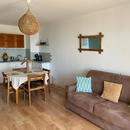 Les Palmiers Spacieux Vue Terrasse&parking Appartement Saint-Cyr-sur-Mer